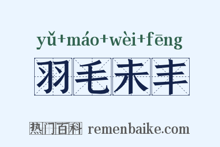羽毛未丰是什么意思的图片